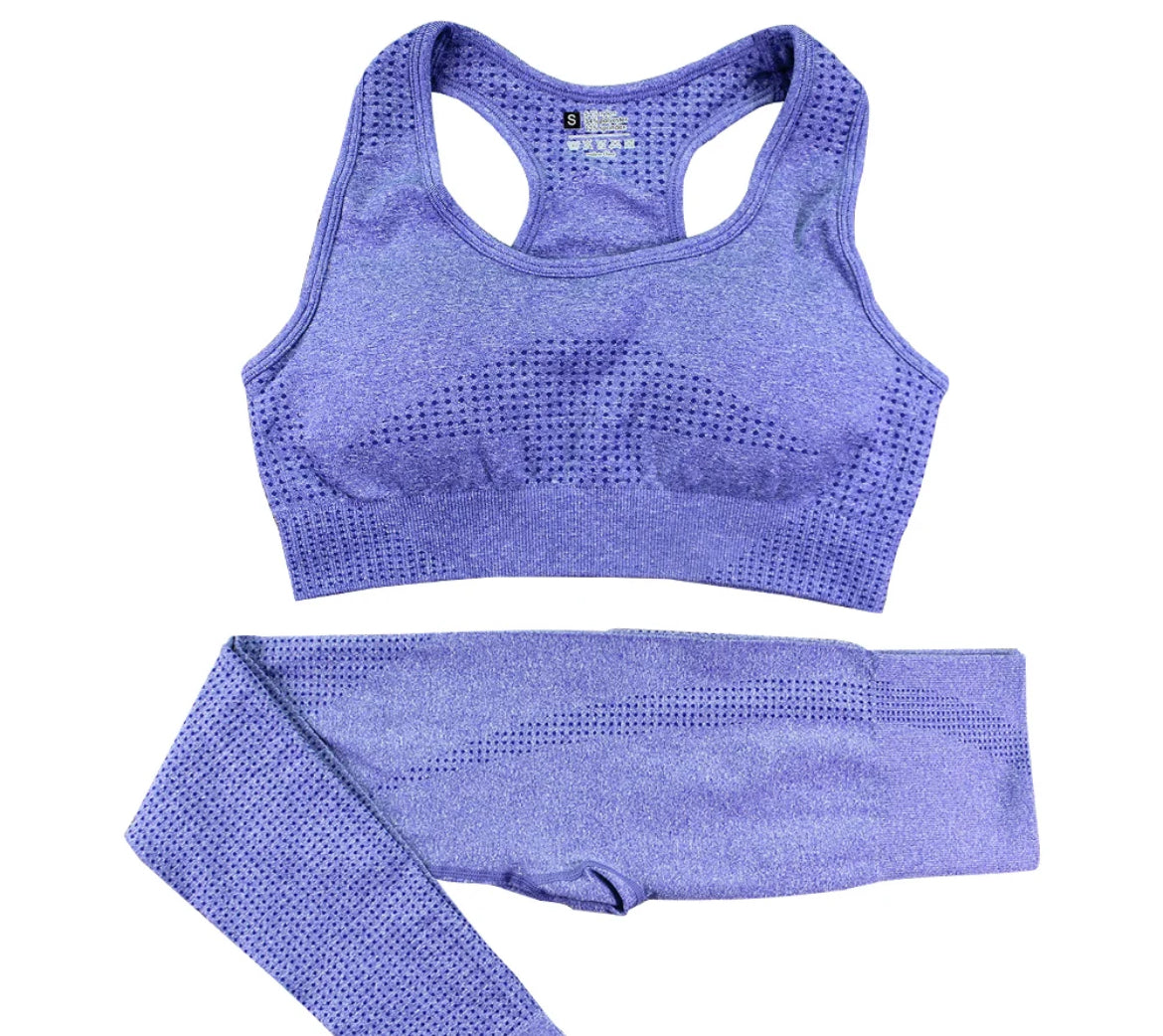 Seamless Bra and Legging Set